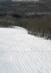An image showing ski tracks on the Showtime trail at the Timberline area of Bolton Valley Resort in Vermont