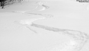 An image of ski tracks in powder on the Spell Binder trail at Bolton Valley Resort in Vermont