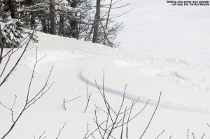 An image of a ski track in powder in the Tombo Woods area at Stowe Mountain Resort in Vermont