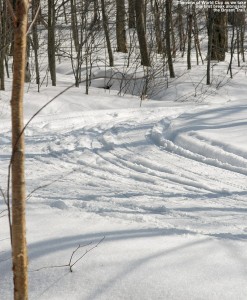 An image of the World Cup Nordic Trail at the Bolton Valley Cross Country Ski Center in Vermont