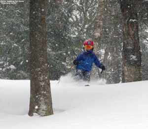 An image of Dylan skiing in powder in the Villager Trees area of Bolton Valley Ski Resort in Vermont