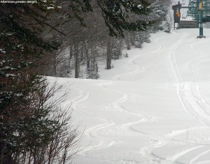 An image of ski tracks in powder on the Wilderness Lift Line trail at Bolton Valley Resort in Vermont