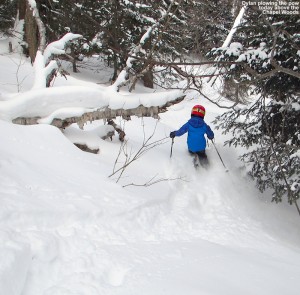 An image of Dylan skiing powder in the trees above the Chapel Glades at Stowe Mountain Resort in Vermont