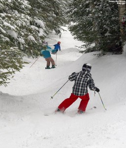 An image of Luke, Julia, and Dylan making their way down the Bruce backcountry ski trail near Stowe Mountain Resort in Vermont