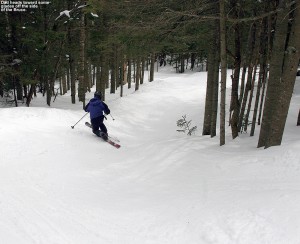 An image of Jay skiing on the Bruce trail near Stowe Mountain Resort in Vermont