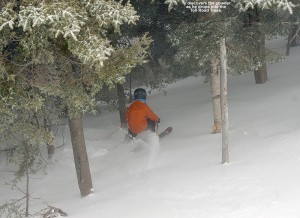 An image of Ty dropping into some April powder in the Toll Road trees at Stowe Mountain Ski Resort in Vermont