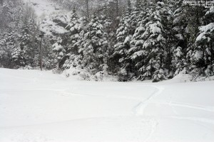 An image of ski tracks in powder on the Perry Merrill trail at Stowe Mountain Resort in Vermont during a spring storm on Memorial Day Weekend
