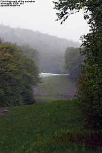 An image of the 2,100' snow line on the Nosedive trail at Stowe Mountain Ski Resort in Vermont during the Memorial Day Weekend Storm of 2013