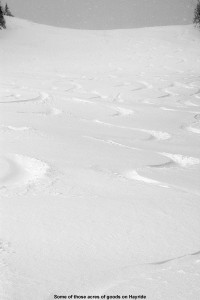 An image of ski tracks in powder on the Hayride trail at Stowe Mountain Resort in Vermont after a November snowstorm