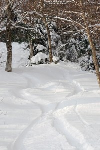 An image of ski tracks on the Goat trail at Stowe Mountain Resort in Vermont