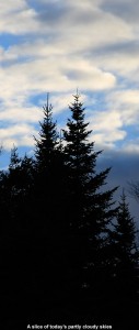 An image of partly cloudy skies behind some evergreens at Stowe Mountain Ski Resort in Vermont