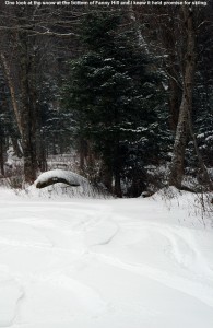 An image of ski tracks in powder snow on the Fanny Hill Trail at Bolton Valley Resort in Vermont