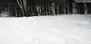 An image of ski tracks in powder on the Twice as Nice ski trail at Bolton Valley Resort in Vermont