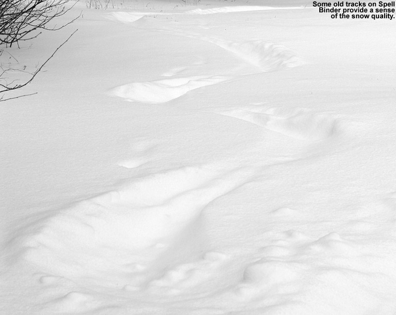 An image of old ski tracks in powder snow on the Spell Binder Trail at Bolton Valley Resort in Vermont