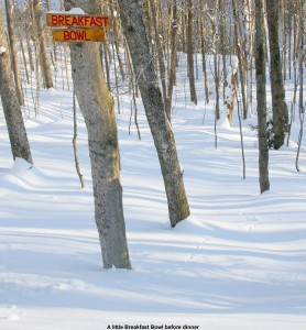 An image of the "Breakfast Bowl" sign and glades at  Bolton Valley Ski Resort in Vermont