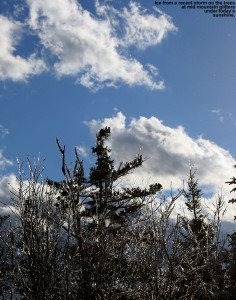 An image of some ice-covered trees and sunny skies at the mid station of the Timberline Lift at Bolton Valley Ski Resort in Vermont