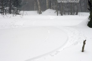 An image of ski tracks in one of the glades off the Monroe Trail  on the east side of Camel's Hump in Vermont 