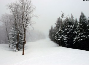 An image of the Alta Vista trail with a ski track in late April at Bolton Valley Resort in Vermont
