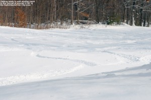 An image showing ski tracks in powder below the Chin Clip trail at Stowe Mountain Resort in Vermont