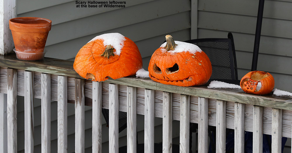 An image of old Jack-o'-lanterns near the base of the Wilderness ski lift at Bolton Valley Ski Resort in Vermont in November