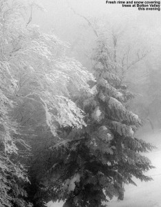 An image of trees with rime and snow at Bolton Valley Resort in Vermont
