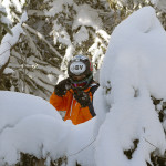 An image of Ty looking out from behind some snow-covered evergreens in the Villager Trees area of Bolton Valley Ski Resort in Vermont