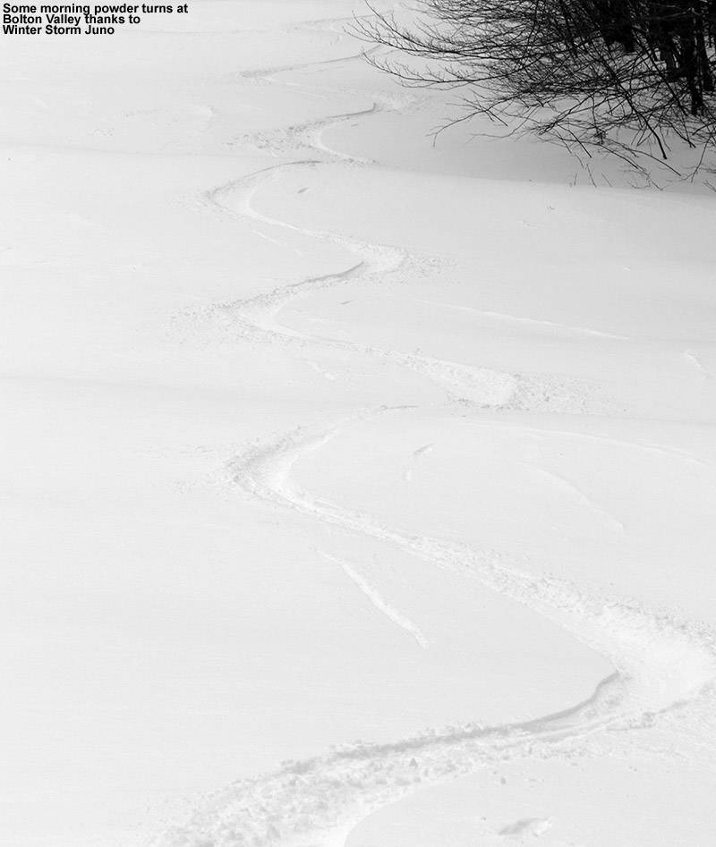 An image of ski tracks in powder snow on the Spell Binder trail at Bolton Valley Resort in Vermont thanks to Winter Storm Juno