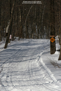 An image of part of the VAST (Vermont Area Snow Travelers) used as part of a backcountry ski tour in the Bolton Valley backcountry