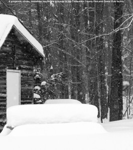 An image showing a snowy cabin and picnic table on the grounds of the Chittenden County Fish & Game Club in Richmond, Vermont 