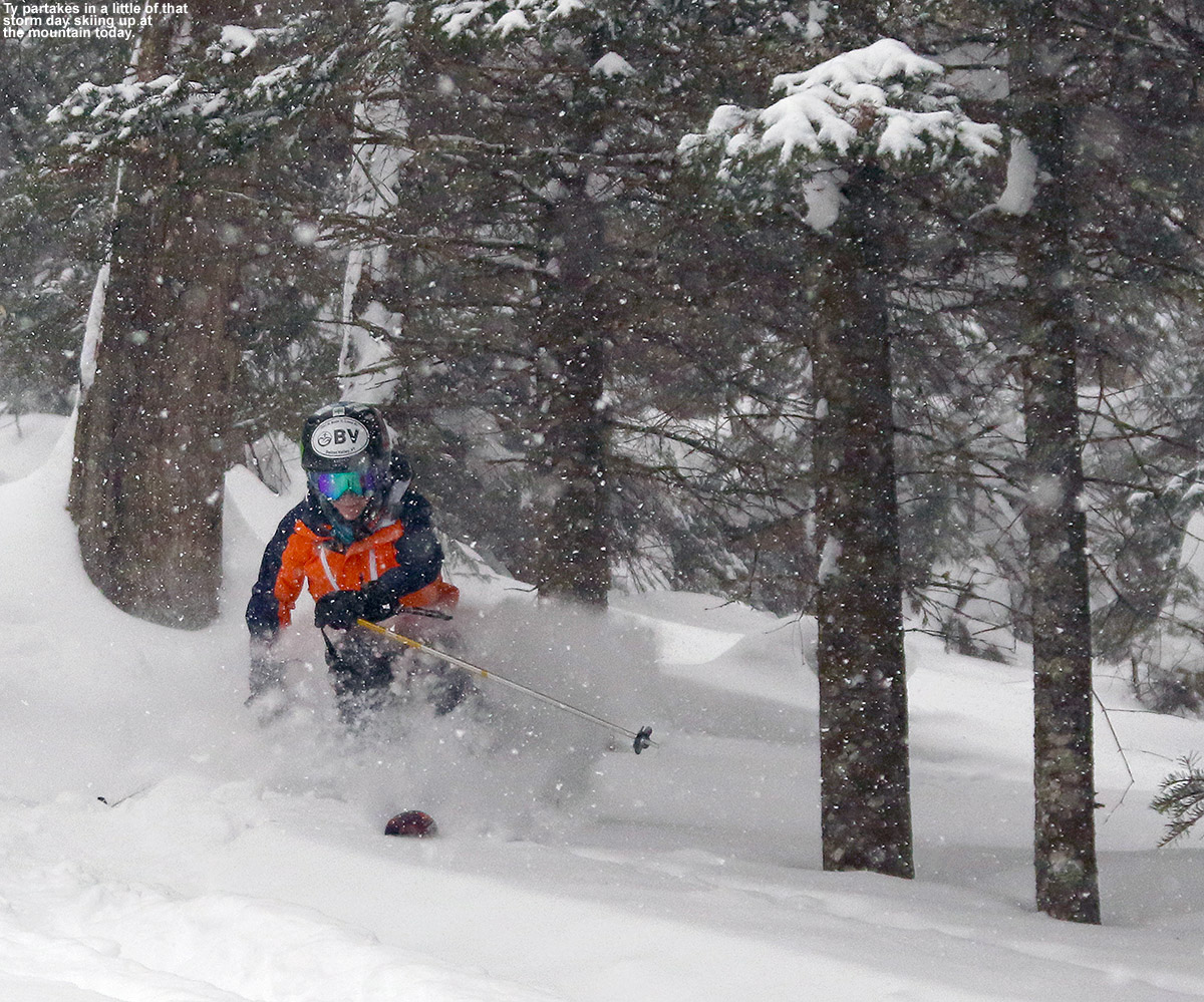 An image of Ty skiing in the Villager Trees area of Bolton Valley Ski Resort in Vermont during increasing snowfall at the start of Winter Storm Pandora