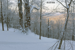 An image showing some ski glades on Dewey Mountain in Northern Vermont
