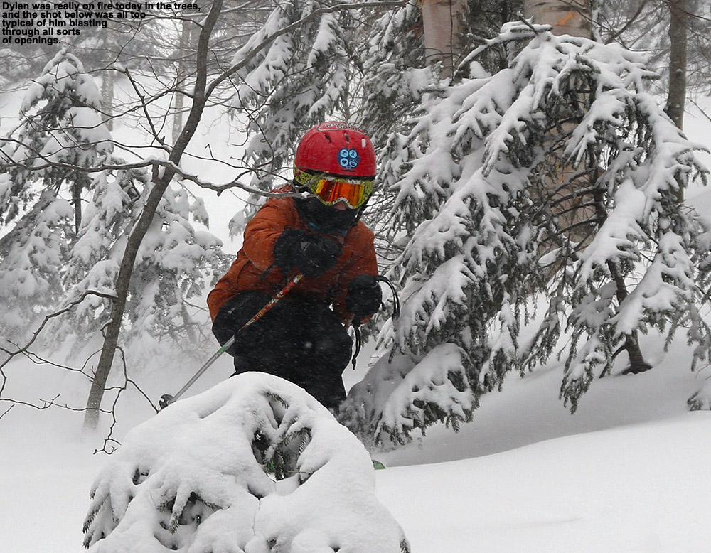 An image of Dylan cutting through some trees while skiing at Stowe Mountain Resort in Vermont
