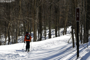 An image of Ty on the skin track on a backcountry ski tour in the Lincoln Gap area of Vermont