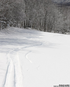 An image snowing ski tracks in fresh powder snow on the Snowflake Bentley trail at Bolton Valley Ski Resort in Vermont