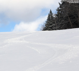 An image of ski tracks in a few inches of fresh powder from an April snowstorm at Bolton Valley Ski Resort in Vermont