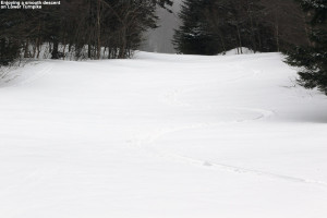 An image of a ski track in powder snow at Bolton Valley Ski Resort in Vermont
