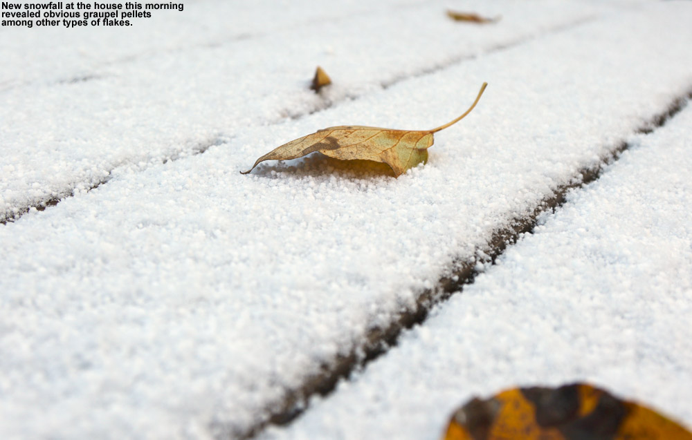 An image of snow and leaves from an October snowfall in Waterbury, Vermont