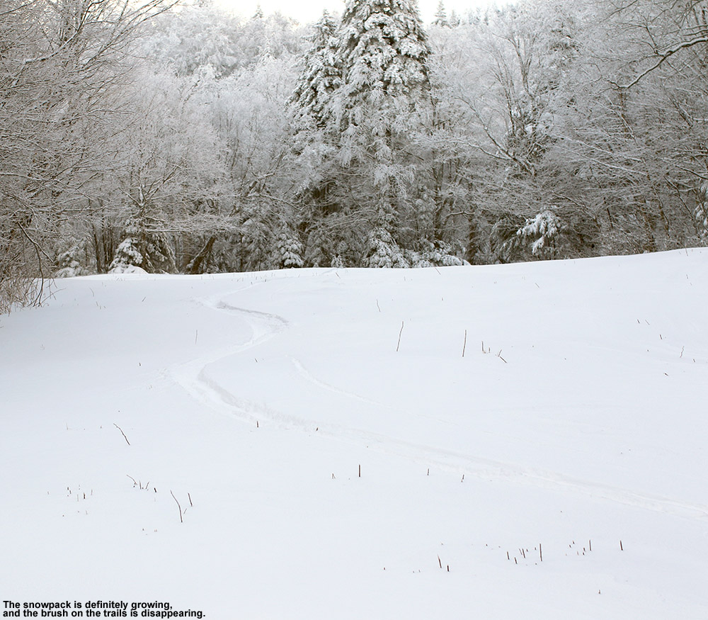 An image of ski tracks in fresh powder on the Cougar trail at Bolton Valley Resort in Vermont