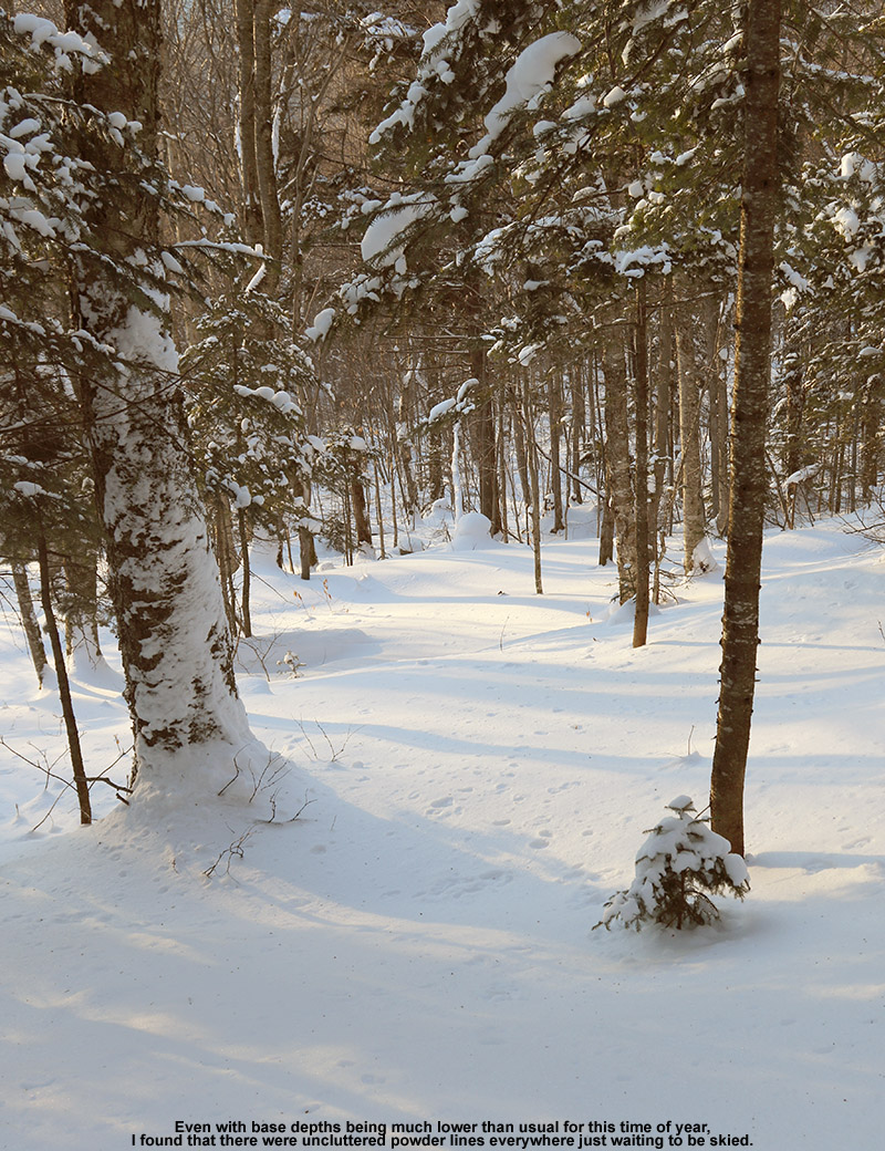 An image of a ski line with powder snow in the Girl's area of the backcountry network at Bolton Valley Ski Resort in Vermont