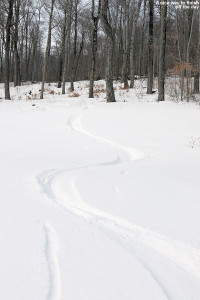 An image of ski tracks in powder at Stowe Mountain Resort in Vermont