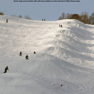 An image of the West Slope trail at Stowe Mountain Resort in Vermont with large snowmaking whales