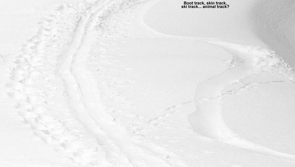 An image showing tracks from various methods of snow travel on one of the slopes at Stowe Mountain Resort in Vermont