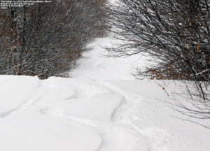 An image of ski tracks in powder on the Spell Binder trail at Bolton Valley Resort in Vermont