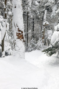 An image of the Adam's Solitude trail at Bolton Valley Ski Resort in Vermont