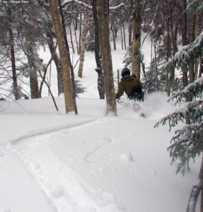 An image of Jay skiing in the Villager Trees area at Bolton Valley Resort in Vermont
