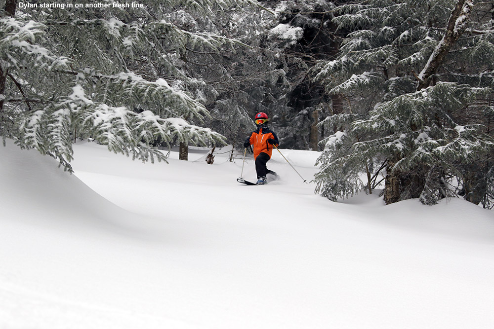 An image of Dylan skiing powder snow in the Villager Trees area at Bolton Valley Resort in Vermont