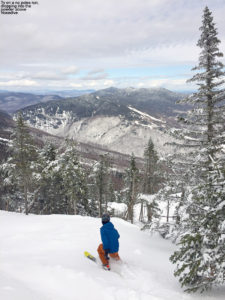An image of Ty skiing some powder in terrain above the Nosedive trail at Stowe Mountain Resort in Vermont 