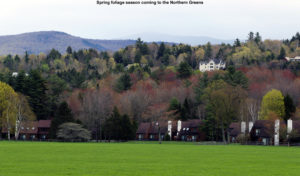 An image of green grass and early spring foliage in the mountains of Northern Vermont around Stowe