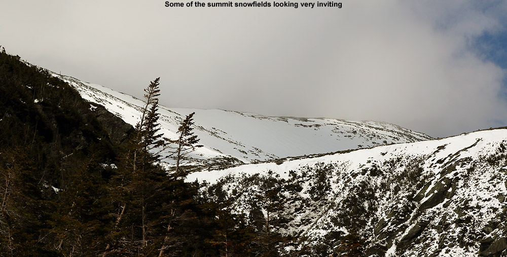 An image of the summit snowfields of Mt. Washington in New Hampshire