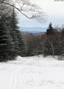 An image of a skin track on the Cougar trail at Bolton Valley Ski Resort in Vermont